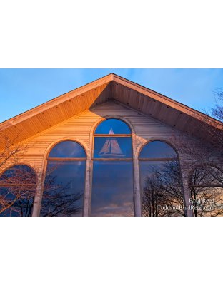 Brad Reed's Day 19 of 365 