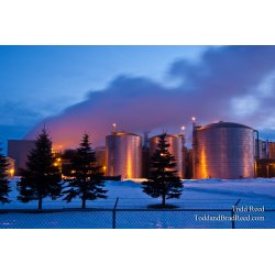 Todd Reed\'s Day 20 of 365 