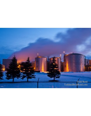 Todd Reed's Day 20 of 365 