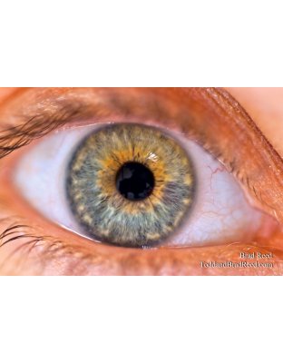 Brad Reed's Day 20 of 365 