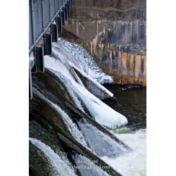 Brad Reed\'s Day 23 of 365 