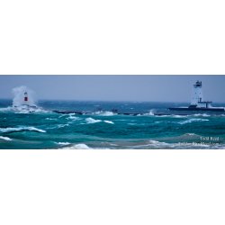 Todd Reed\'s Day 24 of 365 
