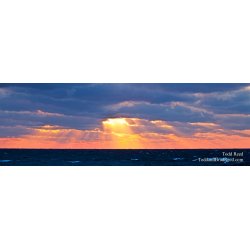 Todd Reed\'s Day 27 of 365 