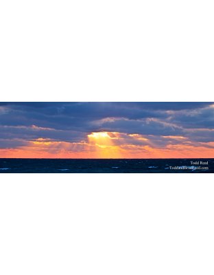 Todd Reed's Day 27 of 365 