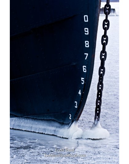 Todd Reed's Day 29 of 365 