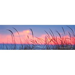 Todd Reed\'s Day 31 of 365 