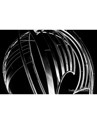 Todd Reed's Day 33 of 365 