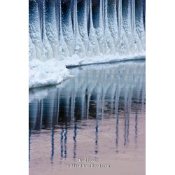 Brad Reed\'s Day 33 of 365 