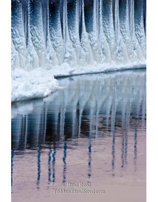 Brad Reed's Day 33 of 365 