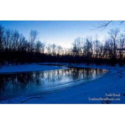 Todd Reed\'s Day 34 of 365 