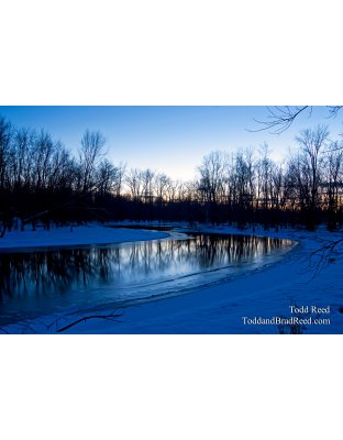 Todd Reed's Day 34 of 365 