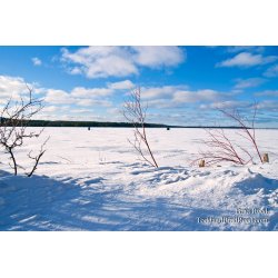 Brad Reed\'s Day 34 of 365 