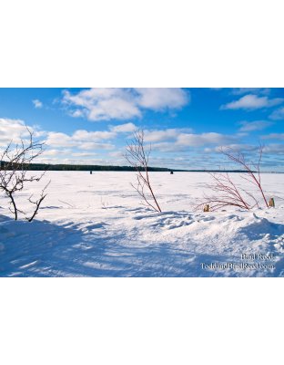 Brad Reed's Day 34 of 365 