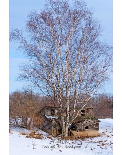 Todd Reed's Day 38 of 365 