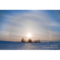 Brad Reed\'s Day 38 of 365 
