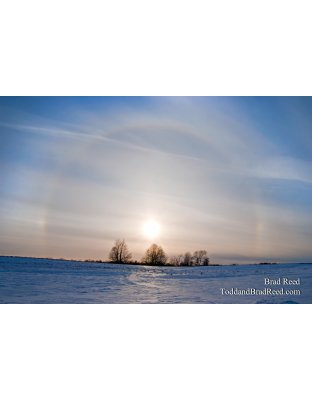 Brad Reed's Day 38 of 365 