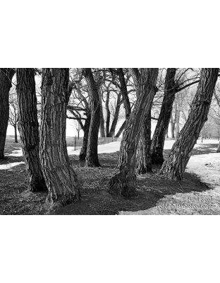 Brad Reed's Day 39 of 365 