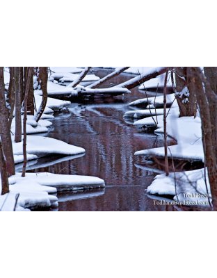 Todd Reed's Day 41 of 365 