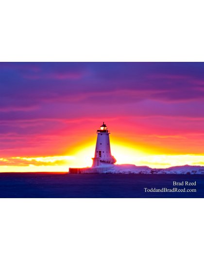 Brad Reed's Day 41 of 365 