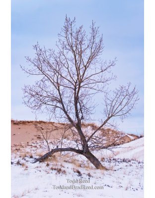 Todd Reed's Day 42 of 365 