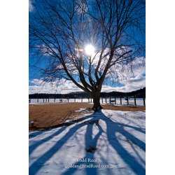Todd Reed\'s Day 43 of 365 