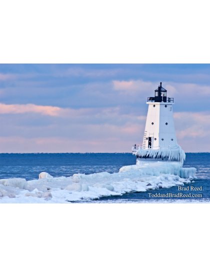 Brad Reed's Day 43 of 365 