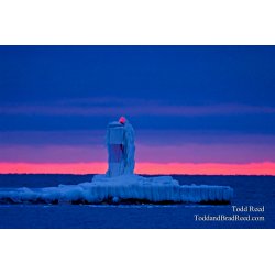 Todd Reed\'s Day 44 of 365 