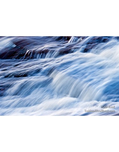 Todd Reed's Day 48 of 365 