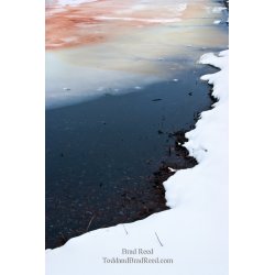 Brad Reed\'s Day 48 of 365 