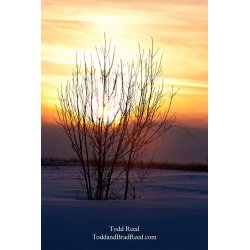 Todd Reed\'s Day 50 of 365 