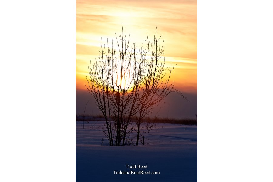 Todd Reed's Day 50 of 365 
