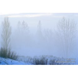 Todd Reed\'s Day 52 of 365 