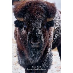 Todd Reed\'s Day 53 of 365 
