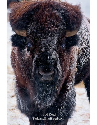 Todd Reed's Day 53 of 365 