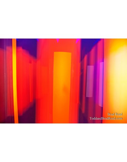 Brad Reed's Day 56 of 365 