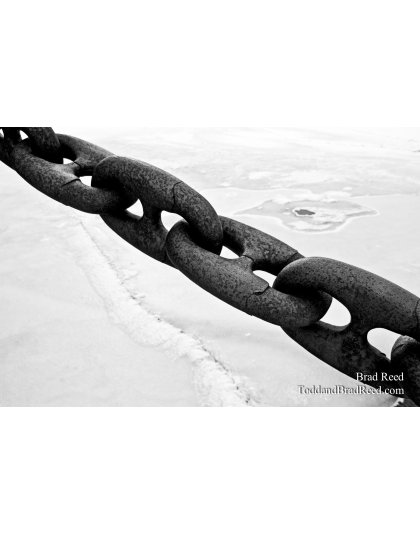 Brad Reed's Day 59 of 365 