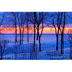 Todd Reed\'s Day 60 of 365 