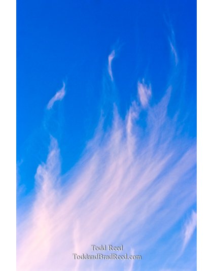 Todd Reed's Day 61 of 365 