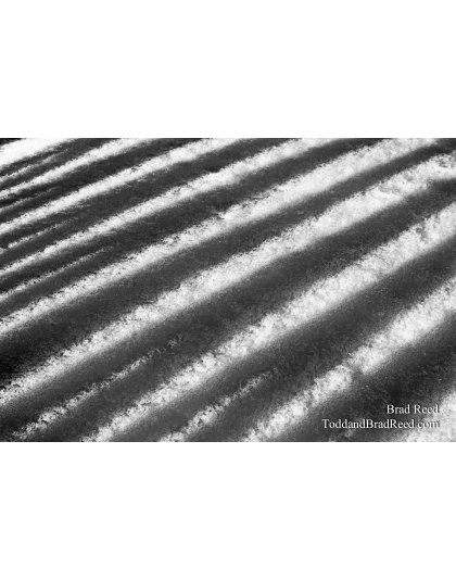 Brad Reed's Day 62 of 365 