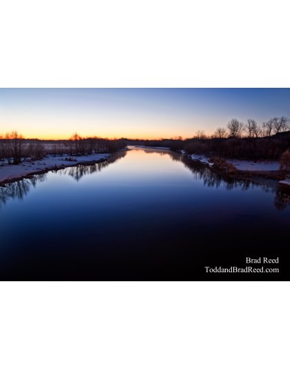 Brad Reed's Day 65 of 365 