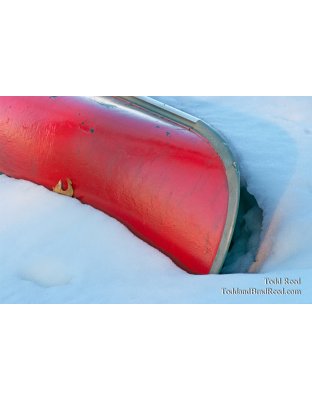 Todd Reed's Day 66 of 365 