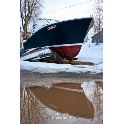 Brad Reed\'s Day 68 of 365 