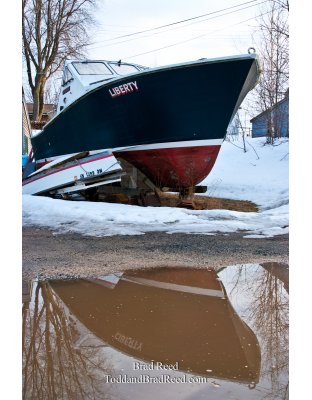 Brad Reed's Day 68 of 365 