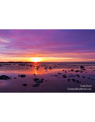 Todd Reed's Day 72 of 365 