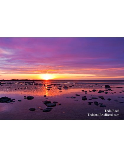 Todd Reed's Day 72 of 365 