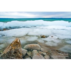 Brad Reed\'s Day 72 of 365 