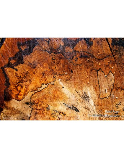 Brad Reed's Day 73 of 365 