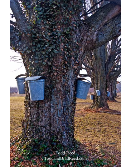 Todd Reed's Day 77 of 365 