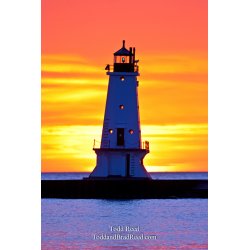 Todd Reed\'s Day 81 of 365 