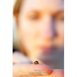 Brad Reed\'s Day 81 of 365 